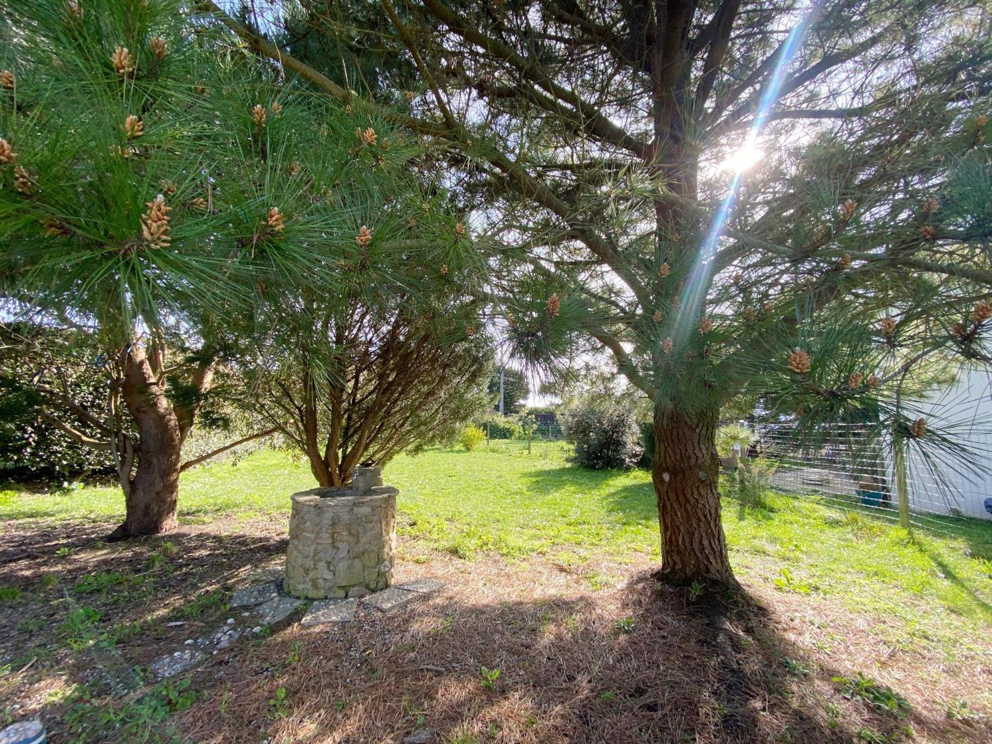 Er Blehua - 5 Pieces, Jardin, Sainte-Barbe - C58 Villa Plouharnel Dış mekan fotoğraf